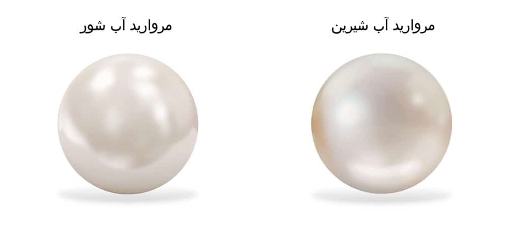اب شور و اب شیرین